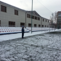 �����������. ������ ���������� � 2013 ����