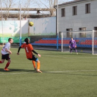 ������������ �������� � ������ �����